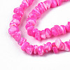 Natural Freshwater Shell Beads Strands SHEL-N003-23-B05-3