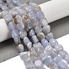 Natural Blue Lace Agate Beads Strands G-P497-01E-71-2