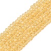 Glass Beads Strands EGLA-A044-T1mm-D03-1