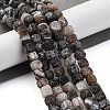 Natural Weathered Agate Beads Strands G-NH0038-01C-2