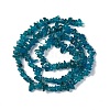 Natural Apatite Beads Strands G-G960-01-3