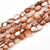 Natural White Shell Beads Strands SHEL-N036-21E-1