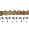 Natural Unakite Beads Strands G-K362-H01-01-5