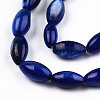 Natural Freshwater Shell Beads Strands SHEL-N026-212-B01-3