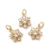 Rack Plating Brass Micro Pave Cubic Zirconia Pendants KK-E081-16G-3