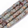 Natural Aqua Terra Jasper Beads Strands G-S366-012A-1