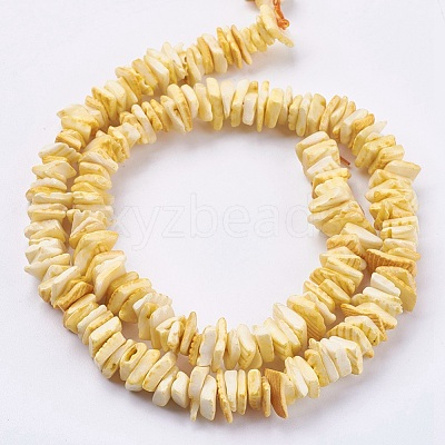 Natural Sea Shell Beads Strands X-BSHE-K012-08B-1