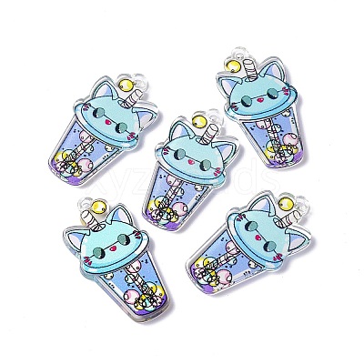 Transparent Printed Acrylic Pendants LS-TACR-G042-01E-1