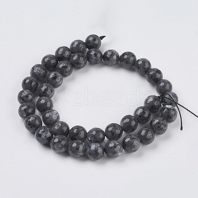 Natural Larvikite Beads Strands G-G542-10mm-27-1