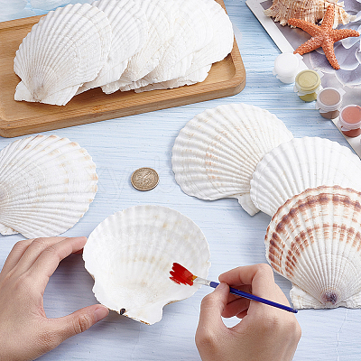 60Pcs Natural Shell Jewelry Decorative Plate AJEW-GA0009-64A-1