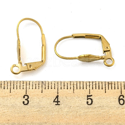 Ion Plating(IP) 304 Stainless Steel Leverback Earring Findings STAS-P360-02C-G-1