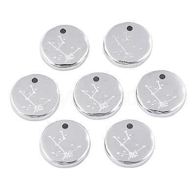Non-Tarnish 316 Surgical Stainless Steel Charms STAS-S116-418A-P-1