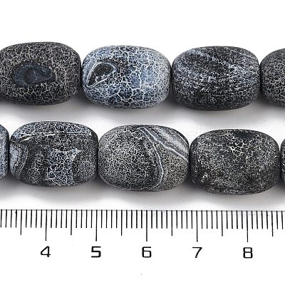 Natural Weathered Agate Beads Strands G-NH0047-B09-02-1