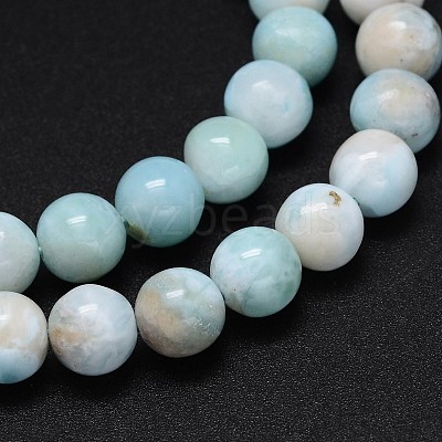 Natural Larimar Round Beads Strands G-O087-10-10mm-1