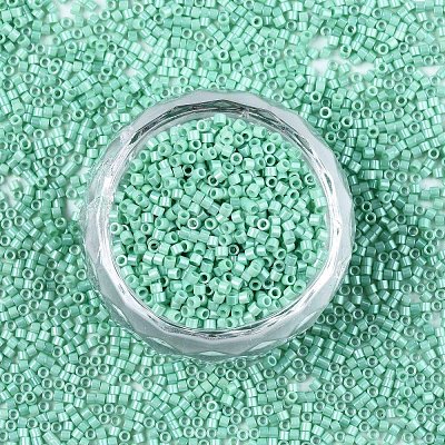 FGB 11/0 Grade A Baking Paint Glass Seed Beads SEED-S030-1036-1