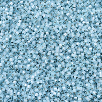 MIYUKI Delica Beads X-SEED-J020-DB0628-1