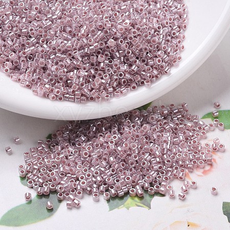 MIYUKI Delica Beads SEED-X0054-DB0256-1