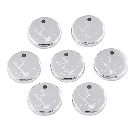 316 Surgical Stainless Steel Charms STAS-S116-418A-P-1