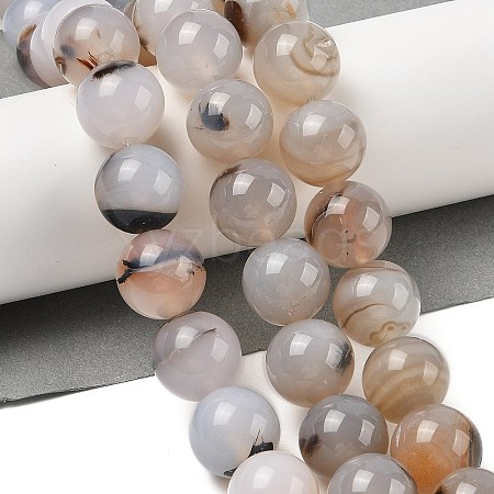 Natural Dendritic Agate Beads Strands G-A248-A07-07-1