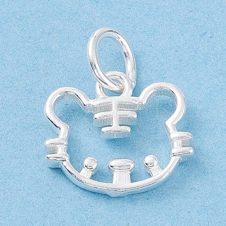 925 Sterling Silver Charms STER-D034-01S-1