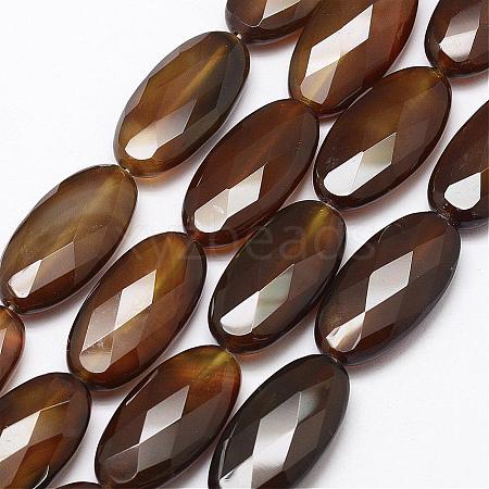 Faceted Natural Agate Beads Strands G-F344-16-1
