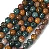 Natural Ocean Jasper Beads Strands G-F668-26-6mm-5