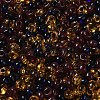 Transparent Colours Glass Seed Beads X1-SEED-P006-02A-10-3