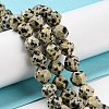 Natural Dalmatian Jasper Beads Strands G-C085-A07-01-2