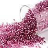 TOHO Round Seed Beads SEED-XTR15-2218-1