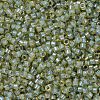 MIYUKI Delica Beads SEED-JP0008-DB2052-3