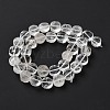 Natural Quartz Crystal Beads Strands G-C161-A01-01-3