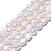 Natural Cultured Freshwater Pearl Beads Strands PEAR-N014-04E-2