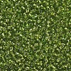 12/0 Glass Seed Beads X2-SEED-A005-2mm-24-2