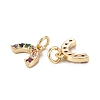 Brass Colourful Cubic Zirconia Charms ZIRC-C024-12G-3