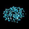 Natural Magnesite Chip Beads G-M364-09A-1