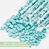  452Pcs 2 Style 2-Hole Glass Seed Beads SEED-NB0001-73-6