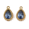 Ion Plating(IP) 304 Stainless Steel Micro Pave Cubic Zirconia Charms STAS-K256-20G-01-1