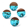 Transparent Resin & Walnut Wood Stud Earring Findings MAK-N032-007A-F01-1