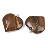 Natural Tiger Iron Pendants GG-K002-04H-2