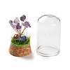 Natural Amethyst Chips Money Tree in Dome Glass Bell Jars with Wood Base Display Decorations DJEW-K030-02L-3