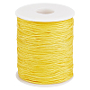 1 Roll 100 Yards Round Nylon Braided Thread NWIR-PH0002-22D-1