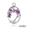 Stainless Steel Wired Natural Amethyst Pendants PW-WGF707B-09-1