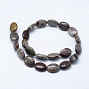 Natural Polychrome Jasper/Picasso Stone/Picasso Jasper Beads Strands G-L472-B-05-18x13mm-3