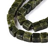 Natural TaiWan Jade Beads Strands G-T139-8x8-21A-3