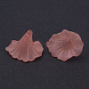 Transparent Acrylic Beads X-BSF796-C11-3