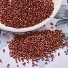 MIYUKI Delica Beads SEED-MY11-DB1838-1