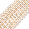 Natural Cultured Freshwater Pearl Beads Strands PEAR-E016-068-1