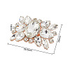 Alloy Glass Detachable Shoe Buckle Clips FIND-WH0423-73RG-01-2