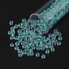 FGB 8/0 Grade A Round Glass Seed Beads SEED-N002-D-222-1