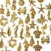 Tibetan Style Alloy Pendants FIND-FS0003-95AG-2
